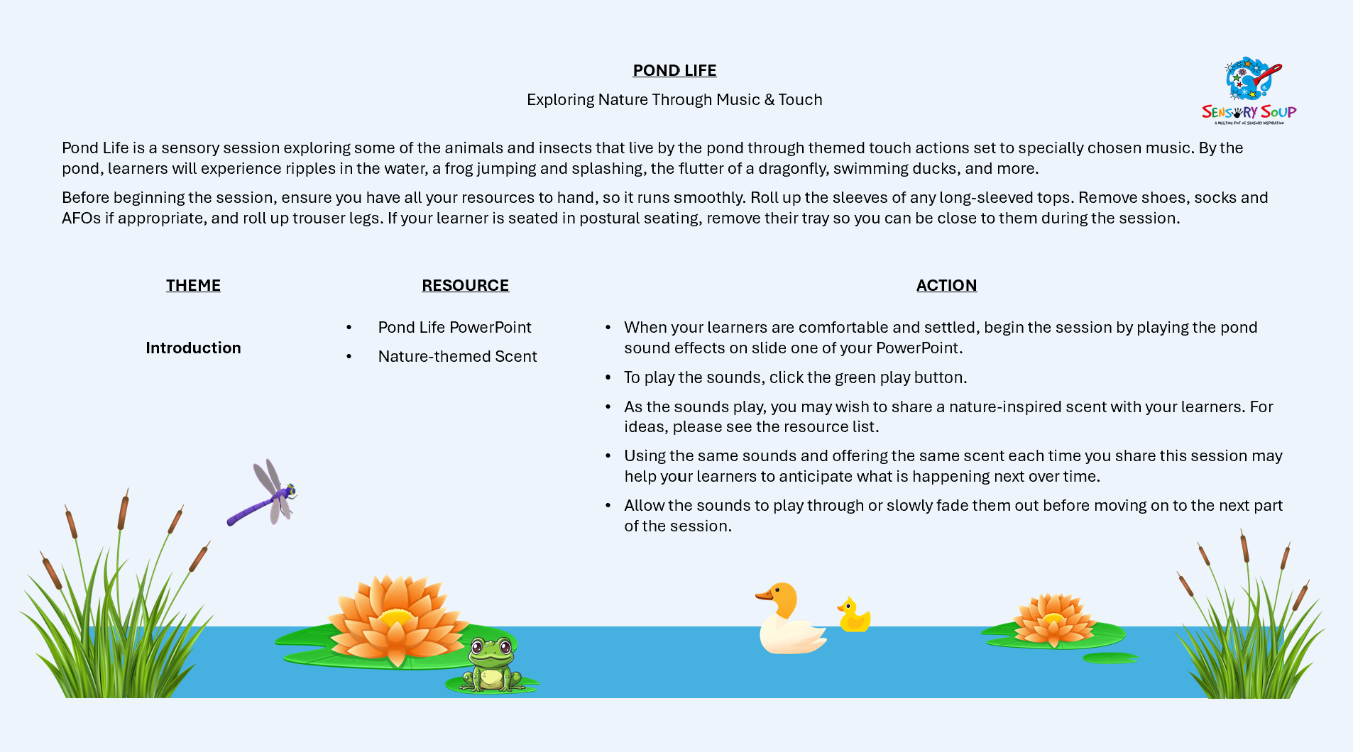 Pond Life sensory session written resource with instructions and activities